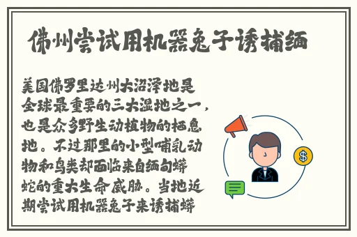 脱了我奶罩亲我**好舒服